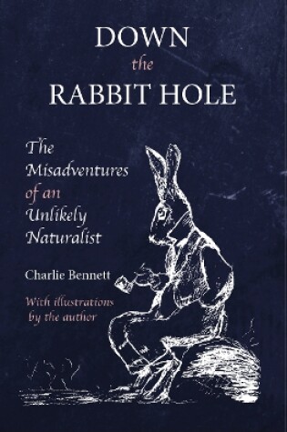 Cover of Down the Rabbit Hole