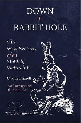 Book cover for Down the Rabbit Hole