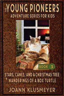 Book cover for Stars, Canes, and a Christmas Tree & the Wanderings of a Box Turtle
