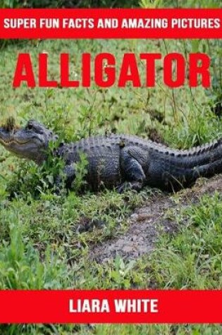 Cover of Alligator