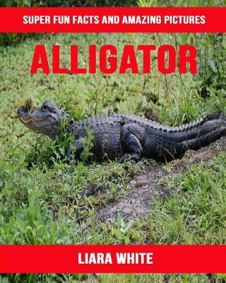 Book cover for Alligator