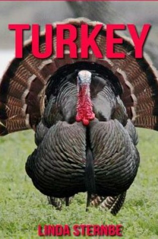 Cover of Turkey