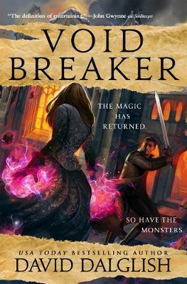 Book cover for Voidbreaker