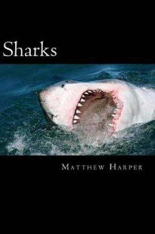 Cover of Sharks