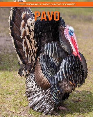 Book cover for Pavo