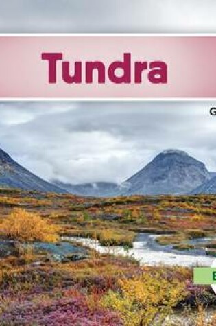 Cover of Tundra (Tundra Biome)