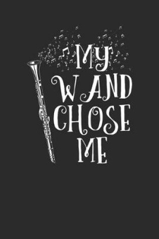 Cover of My Wand Chose Me