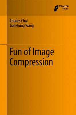 Book cover for Fun of Image Compression