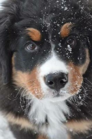 Cover of Bernese Mountain Dog Puppy Playing in the Snow Journal