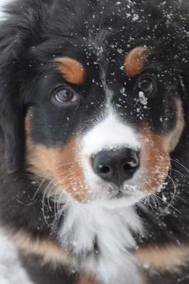 Book cover for Bernese Mountain Dog Puppy Playing in the Snow Journal