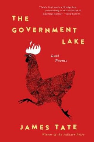 Cover of The Government Lake