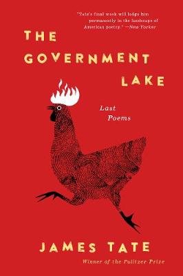 Book cover for The Government Lake