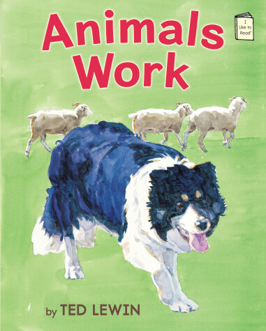 Book cover for Animals Work