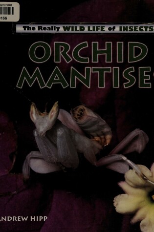 Cover of Orchid Mantises