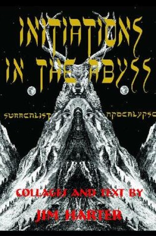 Cover of Initiations In The Abyss