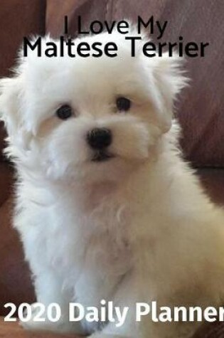Cover of I Love My Maltese Terrier