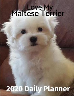 Book cover for I Love My Maltese Terrier