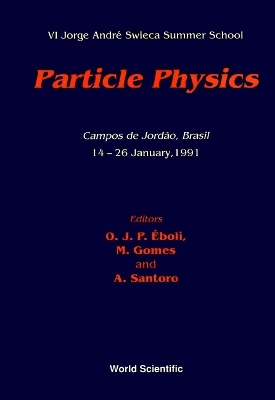 Cover of Particle Physics - Vi Jorge Andre Swieca Summer School