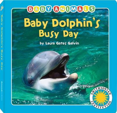 Cover of Baby Dolphins Busy Day