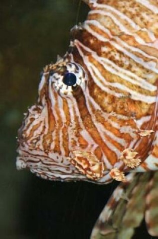 Cover of Lion Fish Notebook