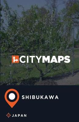 Book cover for City Maps Shibukawa Japan