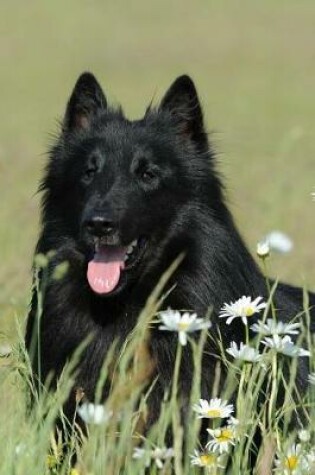 Cover of Belgian Shepherd Dog Groenendael Stopping to Smell the Flowers Journal