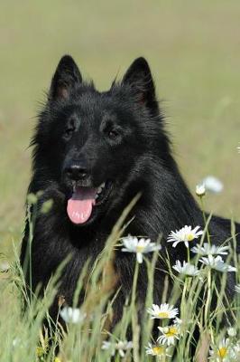 Book cover for Belgian Shepherd Dog Groenendael Stopping to Smell the Flowers Journal