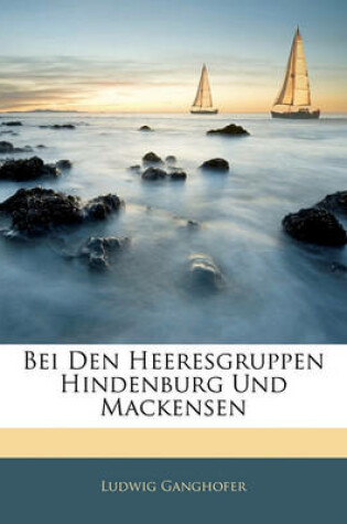 Cover of Bei Den Heeresgruppen Hindenburg Und Mackensen