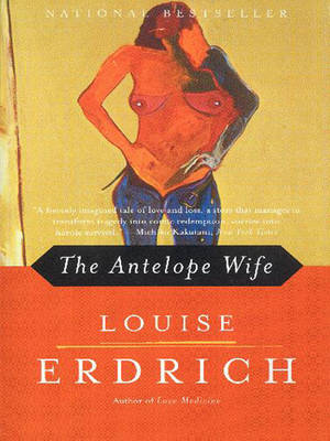 Book cover for The Antelope Wife