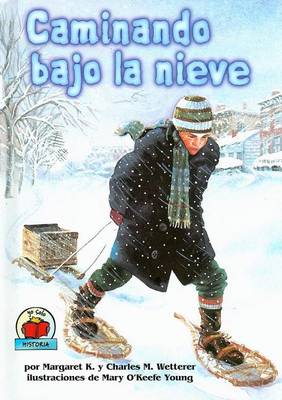 Book cover for Caminando Bajo La Nieve