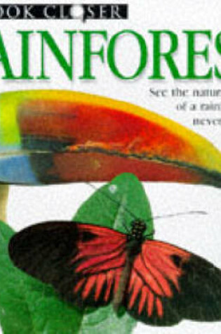 Cover of Rainforest