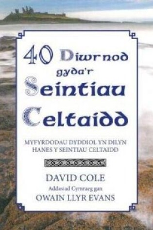 Cover of 40 Diwrnod Gyda'r Seintiau Celtaidd - Myfyrdodau Dyddiol yn Dilyn Hanes y Seintiau Celtaidd