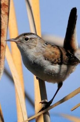 Cover of Marsh Wren (Cistothorus Palustris) Bird Journal