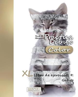 Cover of Práctica Dibujo [Color] - XL Libro de ejercicios 9