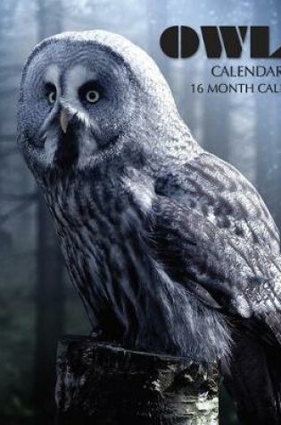 Cover of Owls Calendar 2020