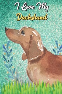 Book cover for I Love My Dachshund