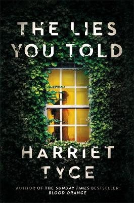 Book cover for The Lies You Told