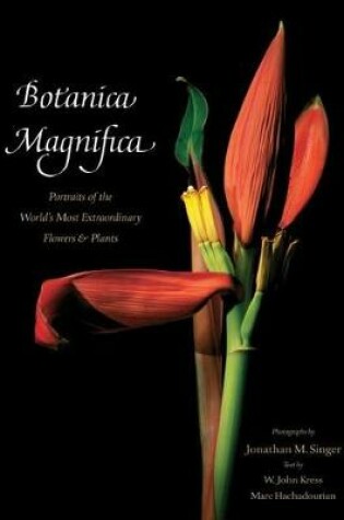 Cover of Botanica Magnifica - Deluxe