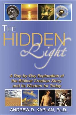 Book cover for The Hidden Light