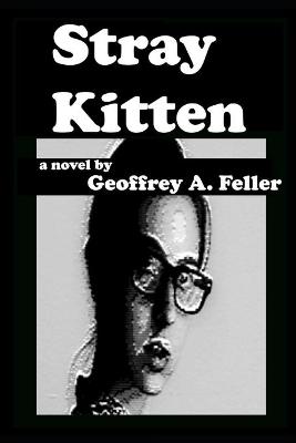 Book cover for Stray Kitten