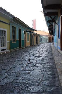 Book cover for Narrow Street in Guayaquil Ecuador Journal