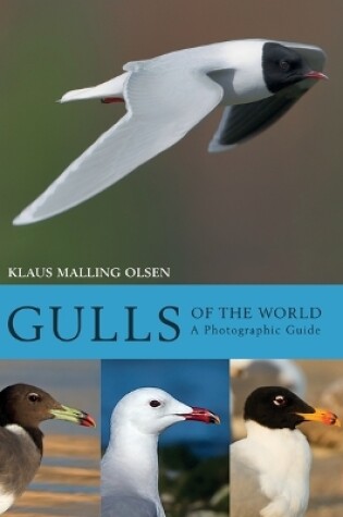 Cover of Gulls of the World