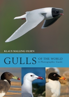 Book cover for Gulls of the World