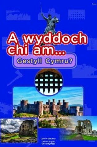 Cover of Cyfres a Wyddoch chi: A Wyddoch Chi am Gestyll Cymru?