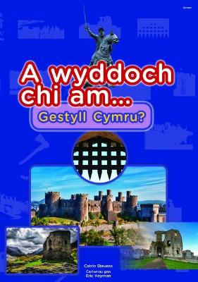 Book cover for Cyfres a Wyddoch chi: A Wyddoch Chi am Gestyll Cymru?