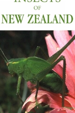 Cover of Photographic Guide To Insects Of New Zealand