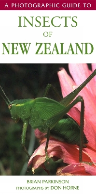 Book cover for Photographic Guide To Insects Of New Zealand