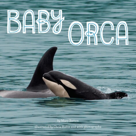 Book cover for Baby Orca