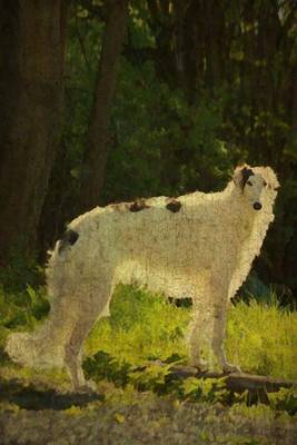 Book cover for Borzoi - Russian Wolfhound