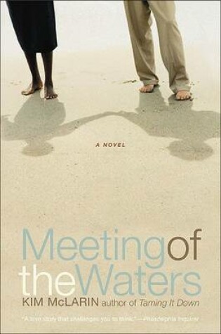 Cover of Meeting of the Waters